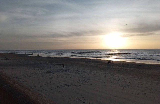 Fully equipped apartment 50m from the beach