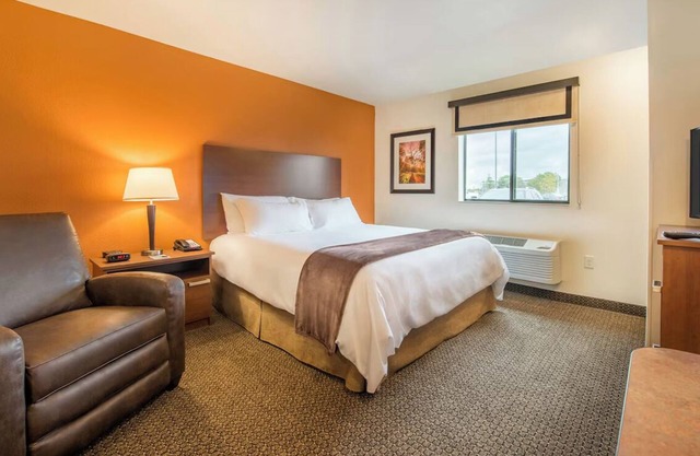 Fully Equipped Rooms with Kitchens, Pet Access, and Convenient Free Parking
