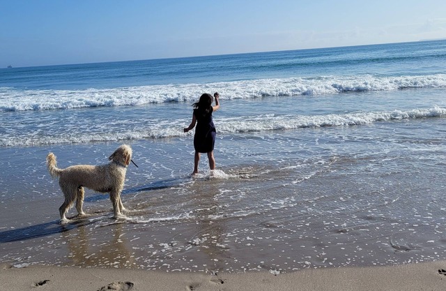 Fully fenced. Family and pet friendly. Located close to Beach and shopping