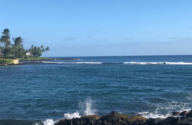 Totalmente renovado frente al mar con aire acondicionado. Unidad de planta baja con espacioso Lanai!