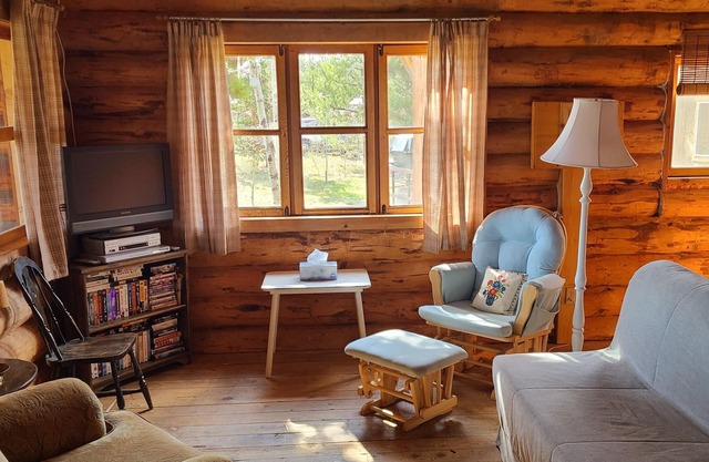 Fun Family Cabin