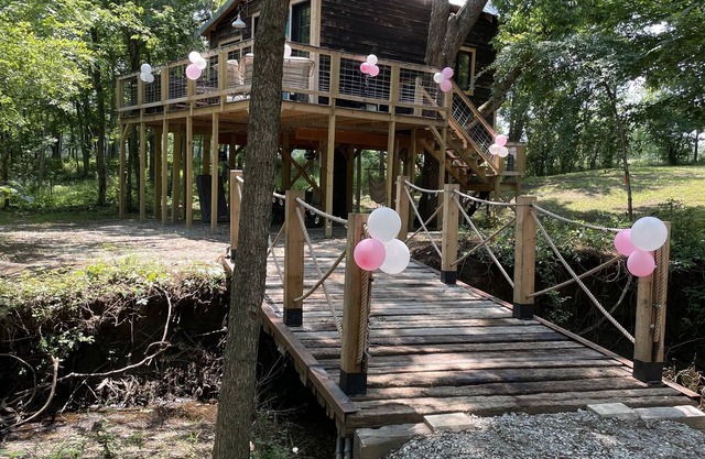 Fun & Magical Treehouse