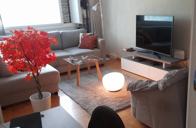 Functional 1- bedroom apartment [55m2] with good location, near Salo center