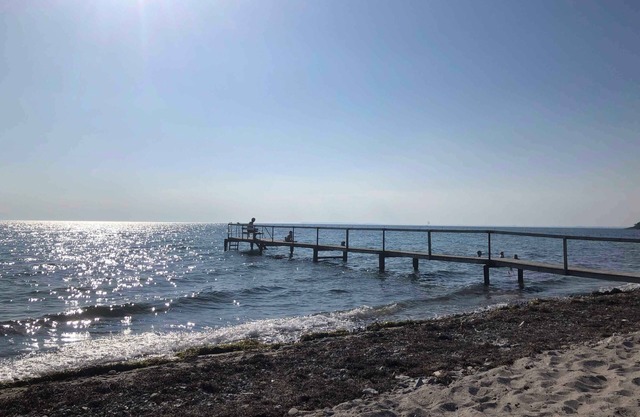 Funen cottage with fantastic sea view.