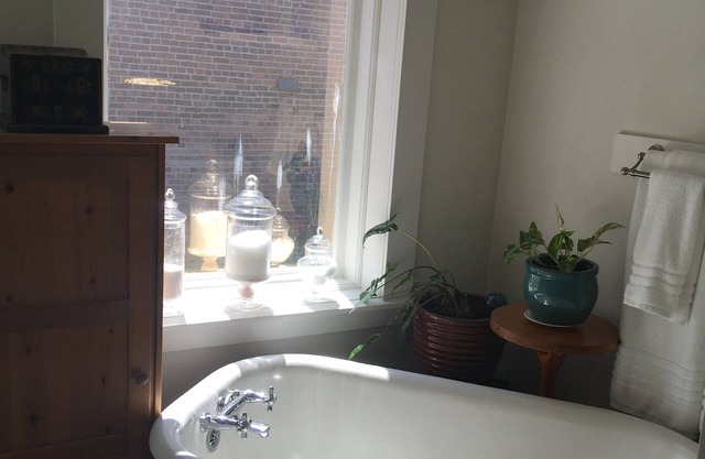 Funky 1 bedroom located in historic downtown Victoria