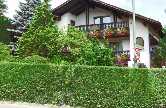 Gästehaus Steiger