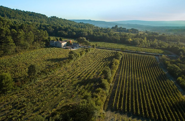 Gîte du Vignoble Château Saint Pons en el Parque Natural de Luberon
