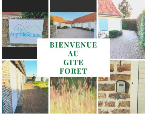 Gîte Forêt entre terre et mer
