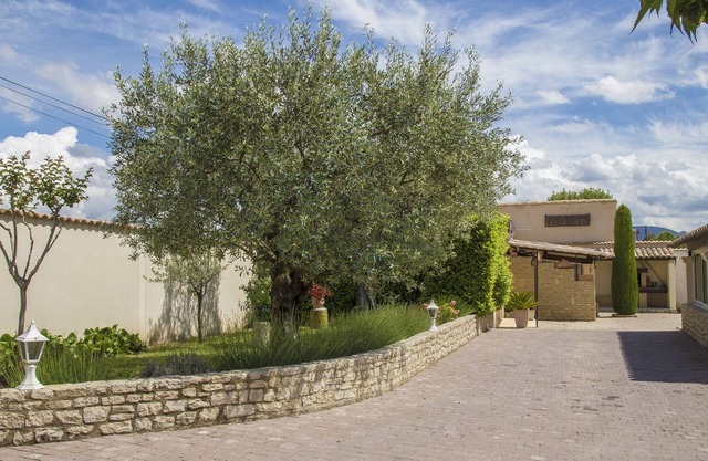 Gîte les Oliviers