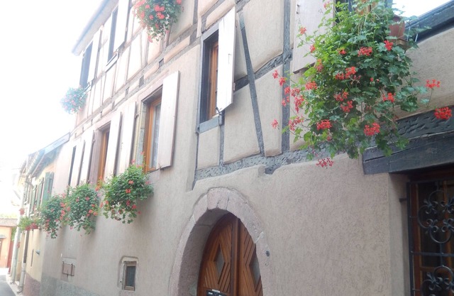 Gîte les cigogneaux