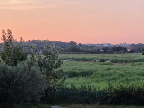 Gîtes de l'Estagnol