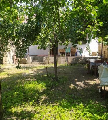Gabala,yard, house