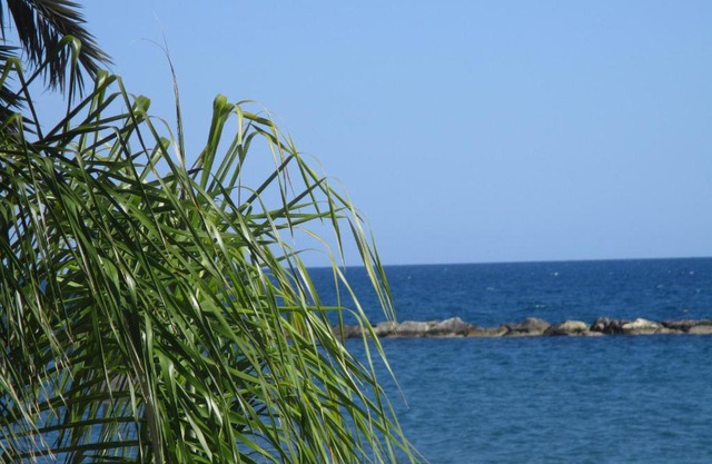 Galatex Beach Studio