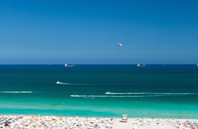 Gale South Beach, Curio Collection by Hilton