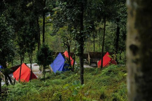 Gangtok View Camping