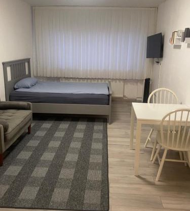 Ganze Apartment in Saarbrücken City
