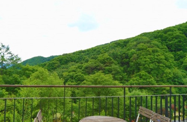 Gapyeong Fore House