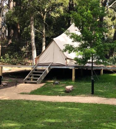 Garden Beds Glamping
