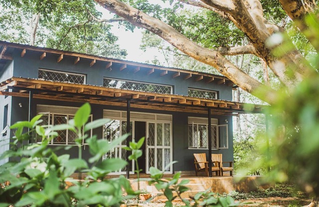 Garden Cabin on the Nile - African Grey