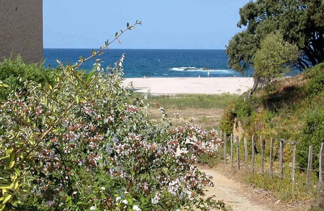 A 150m de la playa, tranquilo nivel de jardín con aire acondicionado, totalmente equipado.