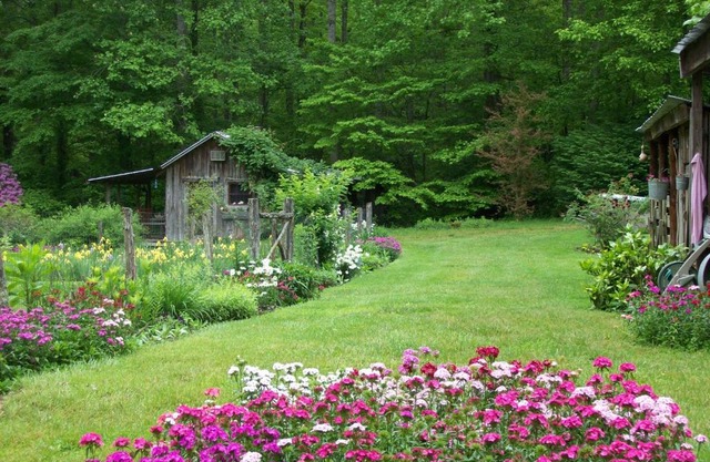 Garden of Eden Cabins
