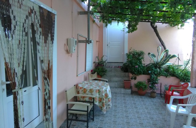 Garden Of Olive Trees