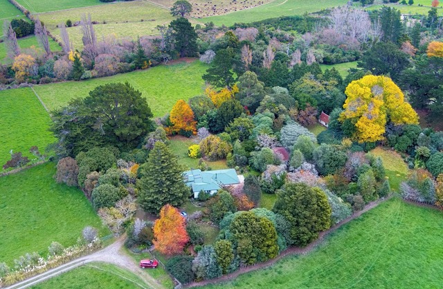 Garden paradise, rural Wairarapa farmhouse