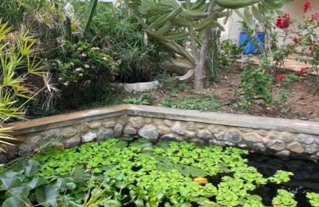 Jardín Roomz Omán - el goto B & B lugar en Muscat