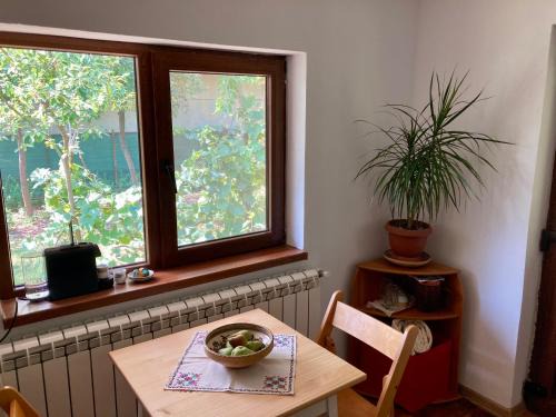 Garden-side apartments in Targu-Jiu