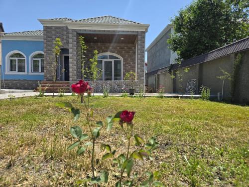 Garden Villa Shamil