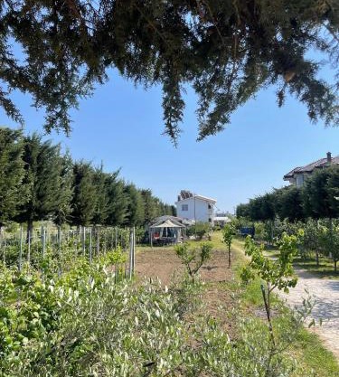 Garden Villa Sunny