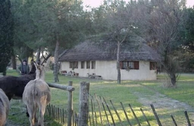 Alquiler de casa de estilo cabaña Gardian Aigues Mortes
