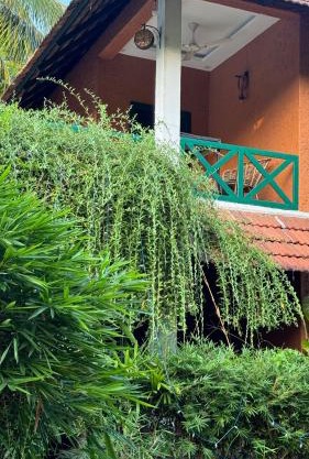 Garggi Kumarakom Village Homestay