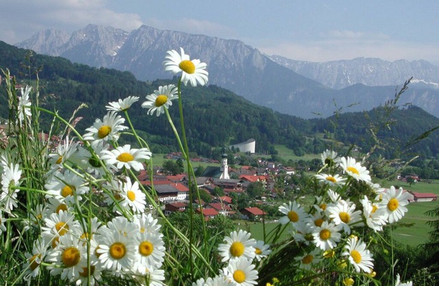 Gasthaus-Hotel beim Dresch