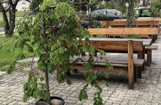 Gasthof - Pension Waldhof