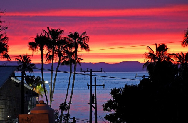 Private, gated 3BR + Office, Yard and Pool, Rooftop w/views, 2 blocks to Malecon
