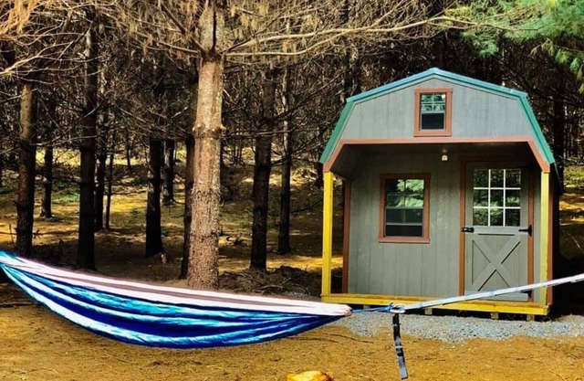 Gavin Cabin