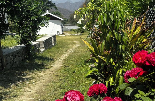 Geeta Ji - Forest Retreat