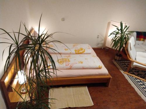 Gemütliches Apartment In Lohmen