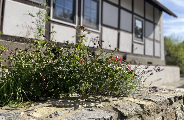 Gemütliches Fachwerkhaus im Kalletal