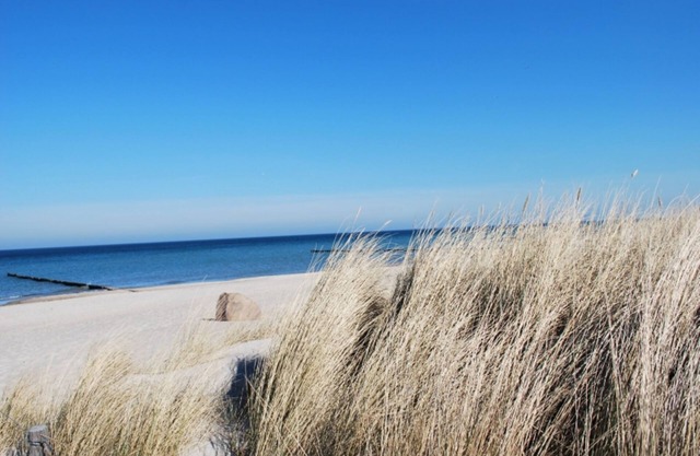 Gemuetliche Wohnung in Kroepelin mit Terrasse