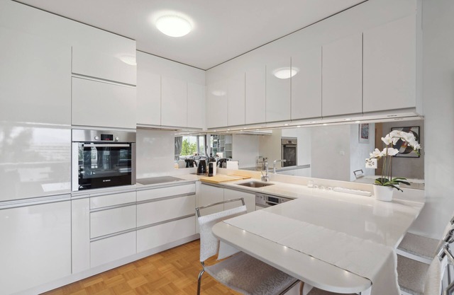 Geneva apartment located near the UN and 10 minutes walk from the airport.