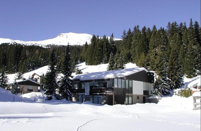 Gentiana (162 Li) Studio