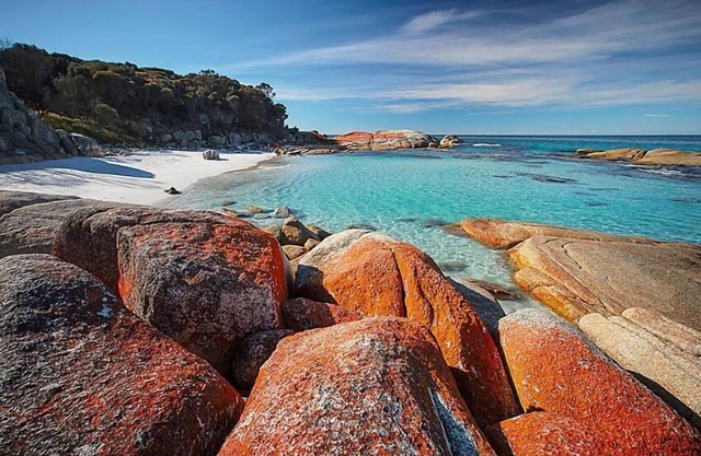 Georges Bay Apartments