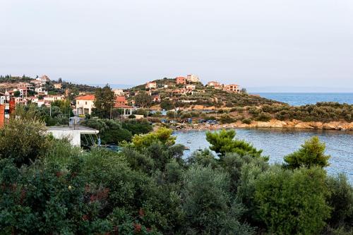 Georgia's House