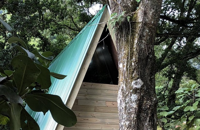 Escápese al Santuario en el bosque nuboso de San Gerardo de Dota