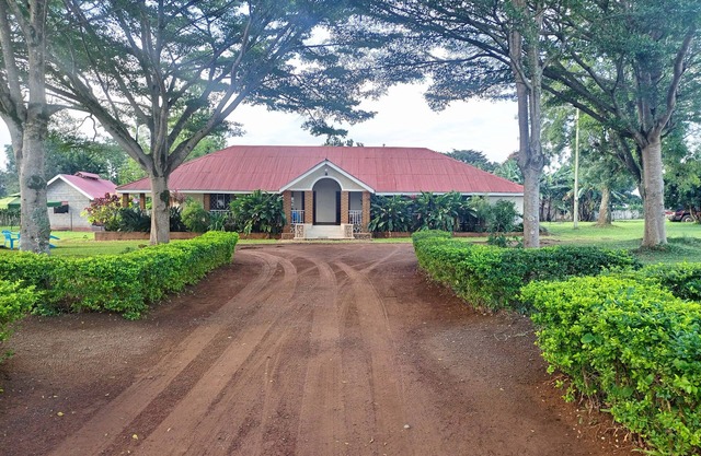 Get Ready to Explore to Mighty Murchison Falls, Ziwa Rhinos plus more...