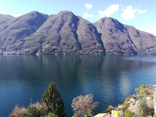 Giardino sul lago, La Vigna