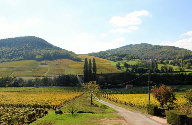 Gîte de "La Bauderie", in the heart of the Mâconnais vineyards