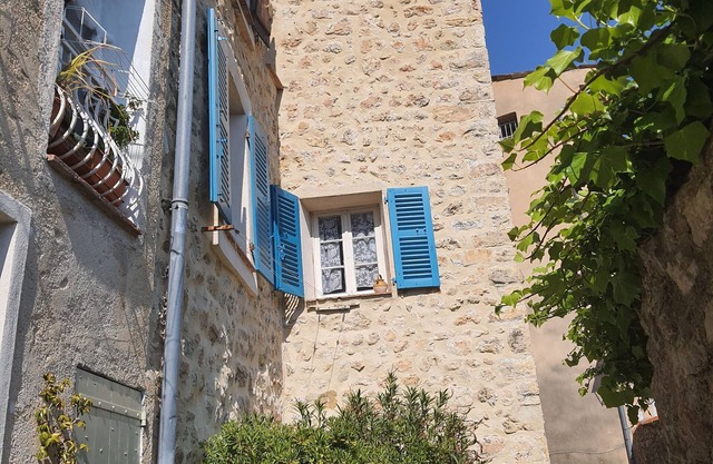 Gite La tour des remparts sur le chemin de ronde de Bargemon exp sud vue nature